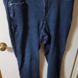 Lane Bryant Indigo Denim Pants